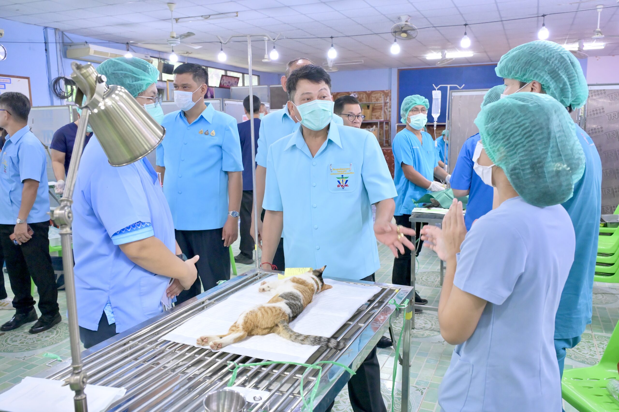 กรมปศุสัตว์ออกหน่วยให้บริการโครงการสัตวแพทย์พระราชทานฯ ในพื้นที่จังหวัดกาญจนบุรี 7 273063 scaled