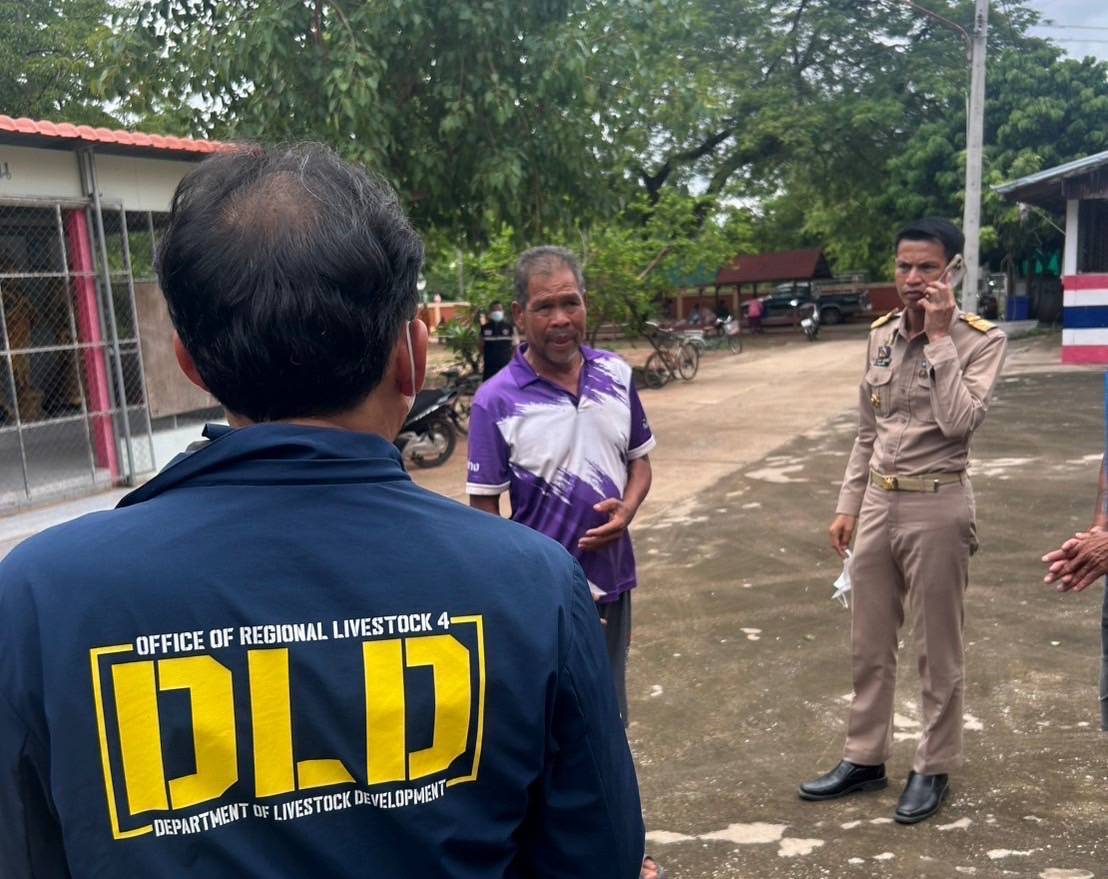 “ปศุสัตว์” ยืนยันไม่พบสัตว์ป่วย-ตายจากแอนแทรกซ์ในหนองบัวลำภู 5 281294