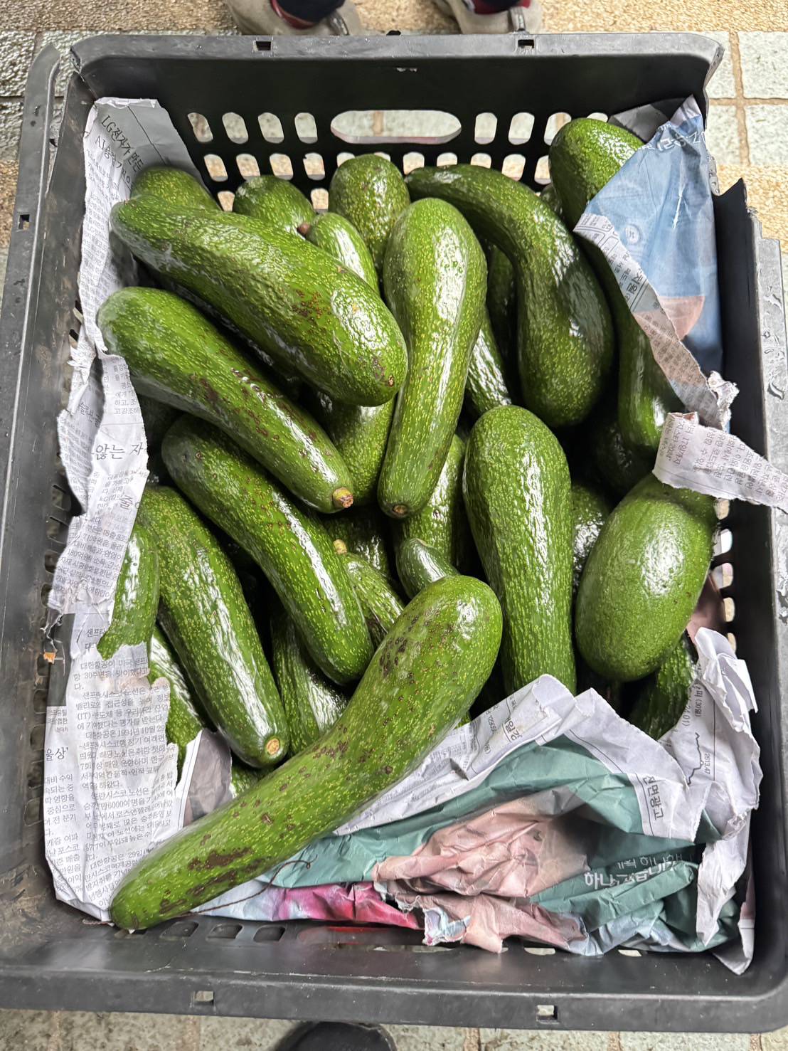 ฉก.พญานาคราช จับอโวคาโดและเสาวรสสดเถื่อนใน จ.ปทุมธานี มูลค่ารวม 1,339,000 บาท 3 33238