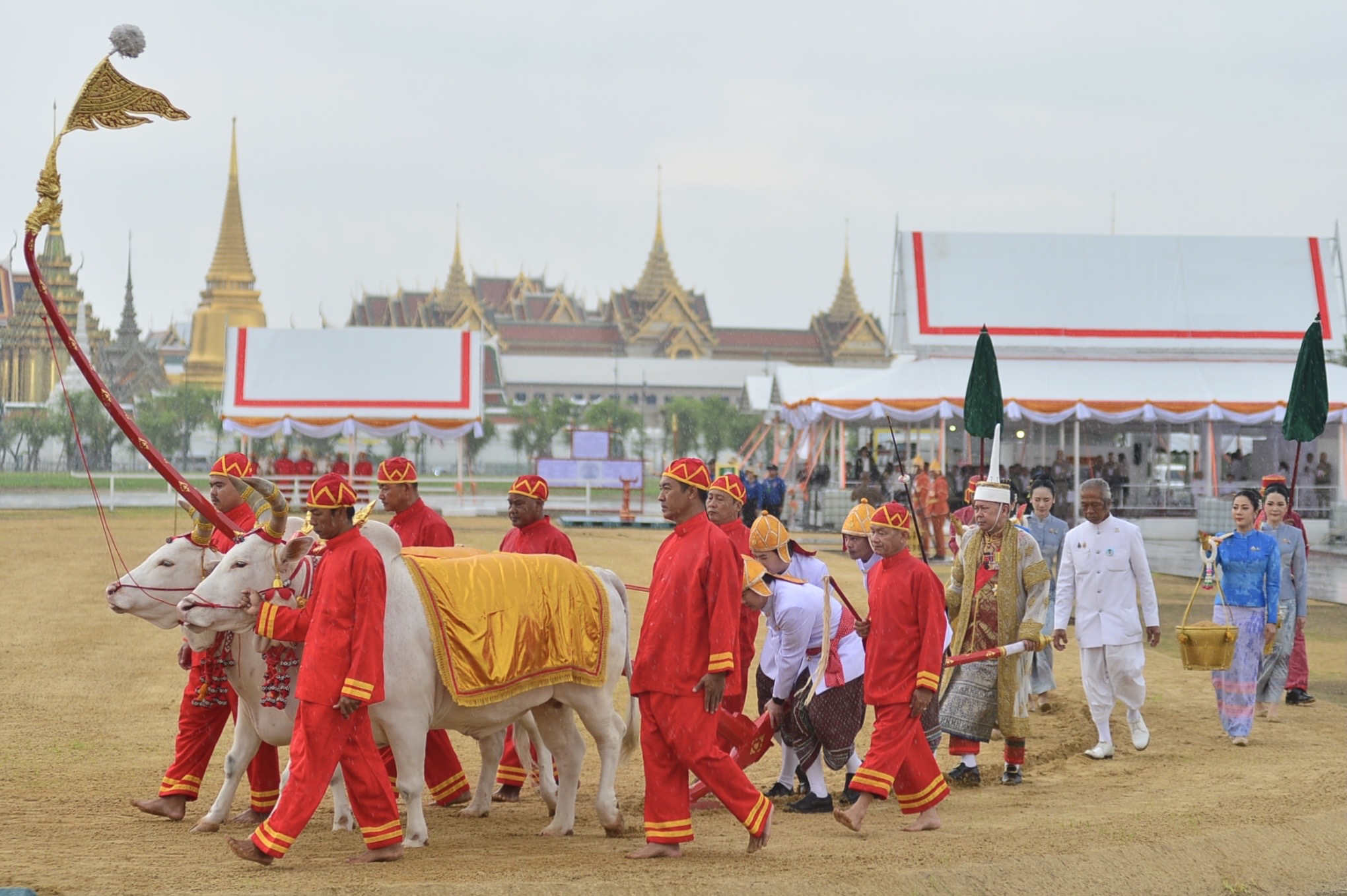 กระทรวงเกษตรและสหกรณ์ จัดซ้อมใหญ่ “พระราชพิธีพืชมงคลฯ” ประจำปี 2568 ณ มณฑลพิธีท้องสนามหลวง 17 34 1