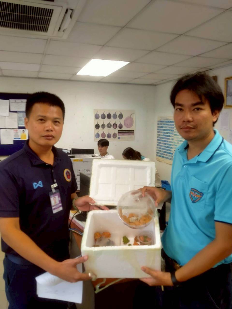 “ฉก.พญานาคราช” จับกุมการลักลอบส่งออกสัตว์น้ำเถื่อน คาสนามบินสุวรรณภูมิ พบสัตว์มีชีวิต จำนวน 98 ตัว มีทั้งงูเหลือม งูหลาม เต่า กิ้งก่า เม่น หนู กบ ตะพาบ มูลค่ากว่า 65,000 บาท ซุกซ่อนอยู่ภายในกล่องบรรจุลำโพง 3 3425175