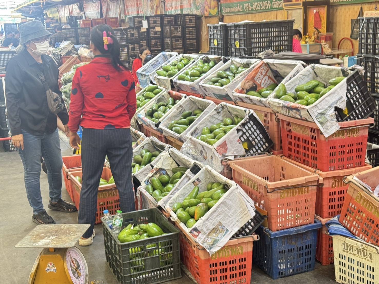 ฉก.พญานาคราช จับอโวคาโดเถื่อนในตลาดค้าส่งสินค้าเกษตรย่านปทุมธานี จำนวน 11 ตัน มูลค่ารวม 1.2 ล้านบาท 6 3436140