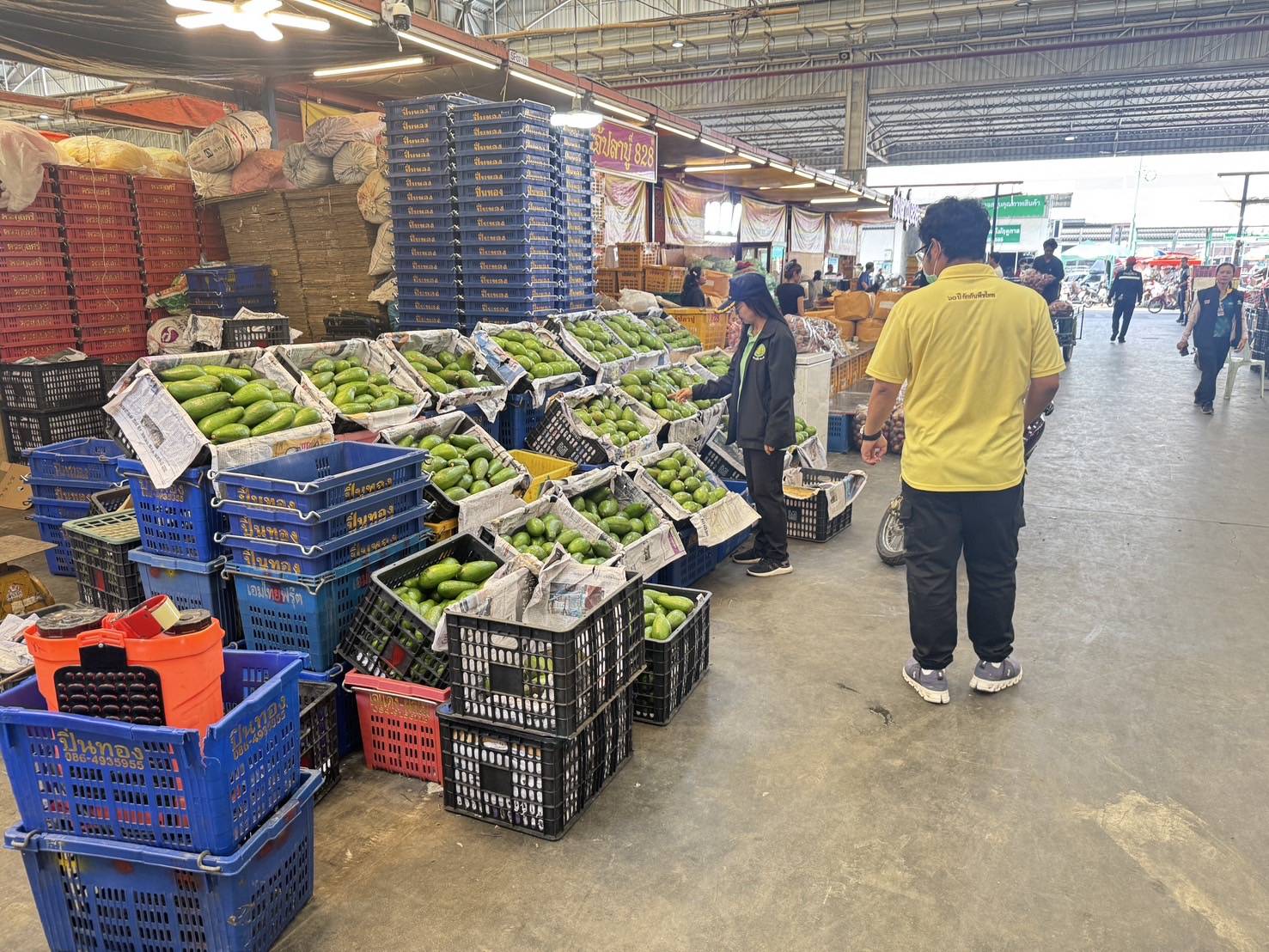ฉก.พญานาคราช จับอโวคาโดเถื่อนในตลาดค้าส่งสินค้าเกษตรย่านปทุมธานี จำนวน 11 ตัน มูลค่ารวม 1.2 ล้านบาท 7 3436141