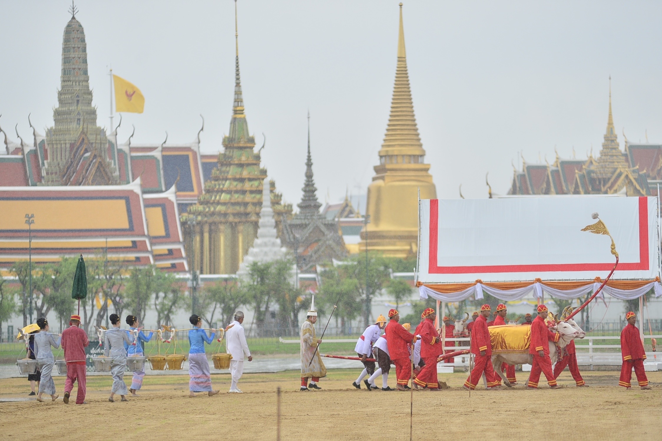 กระทรวงเกษตรและสหกรณ์ จัดซ้อมใหญ่ “พระราชพิธีพืชมงคลฯ” ประจำปี 2568 ณ มณฑลพิธีท้องสนามหลวง 19 38