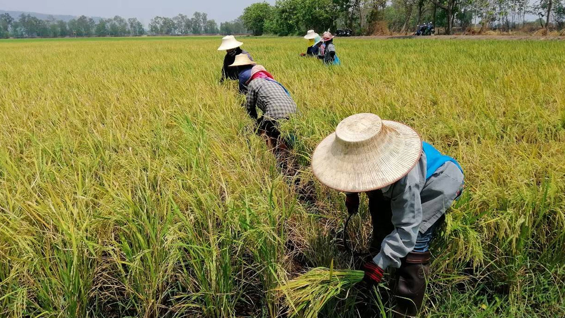 4 จังหวัดอีสานตอนล่าง2