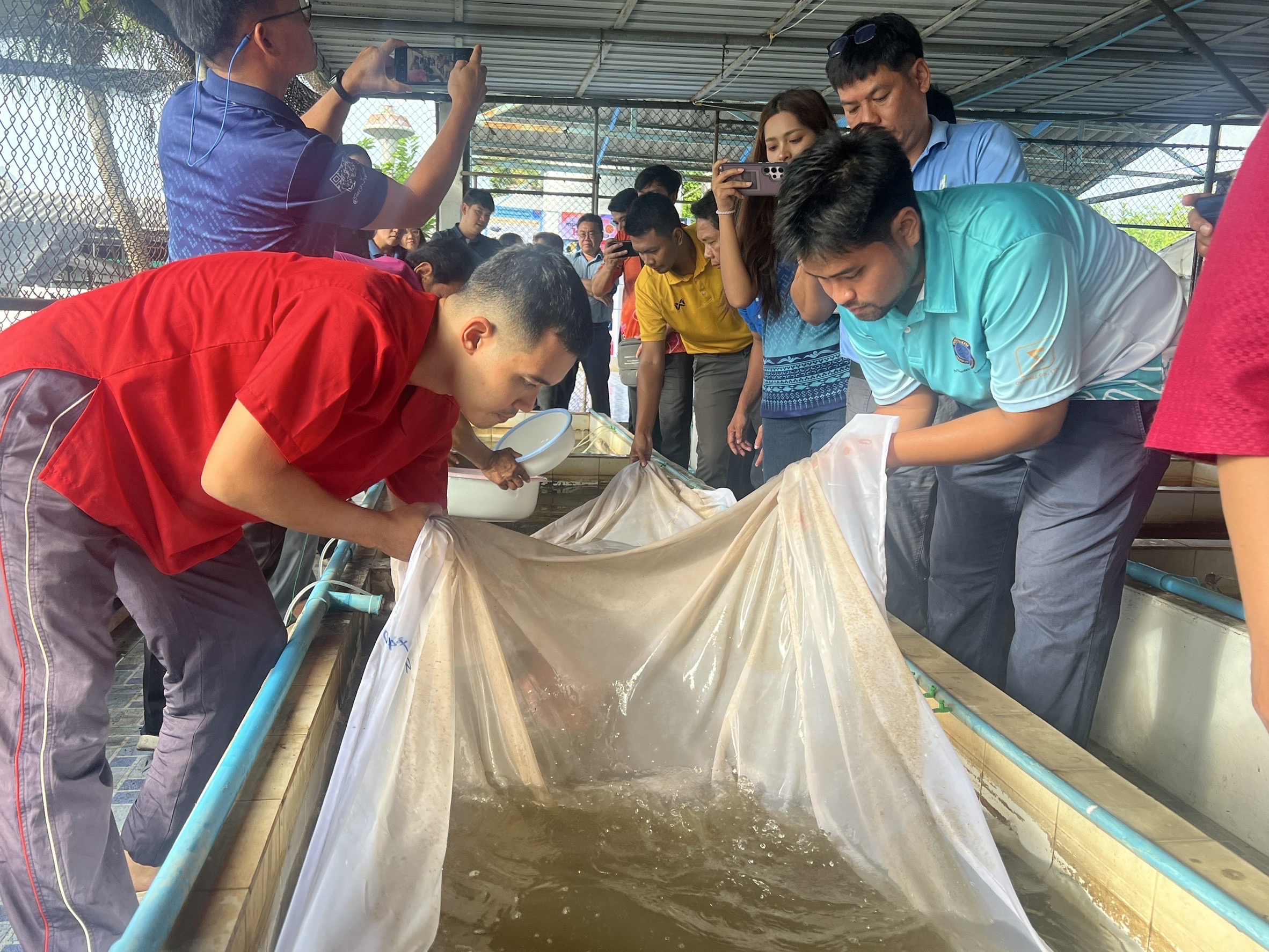 กรมประมงเร่งปั้นผลผลิตลูกพันธุ์ “ปลาชะโอน” รองรับความต้องการของเกษตรกรจัดคอร์สติวเทคนิคอนุบาลด้วยการควบคุมอุณหภูมิ หนุนเพิ่มประสิทธิภาพการผลิต 8 426457