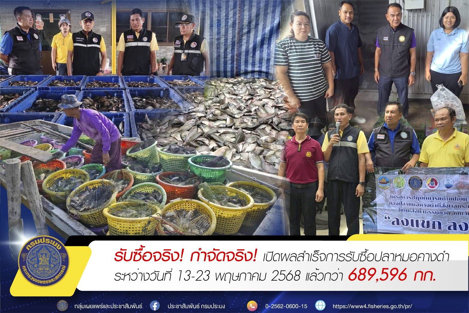 กรมประมง เปิดผลสำเร็จ รับซื้อปลาหมอคางดำ 13- 23 พ.ค. 68 รวมจำนวน 689,596 กก. 12 436166