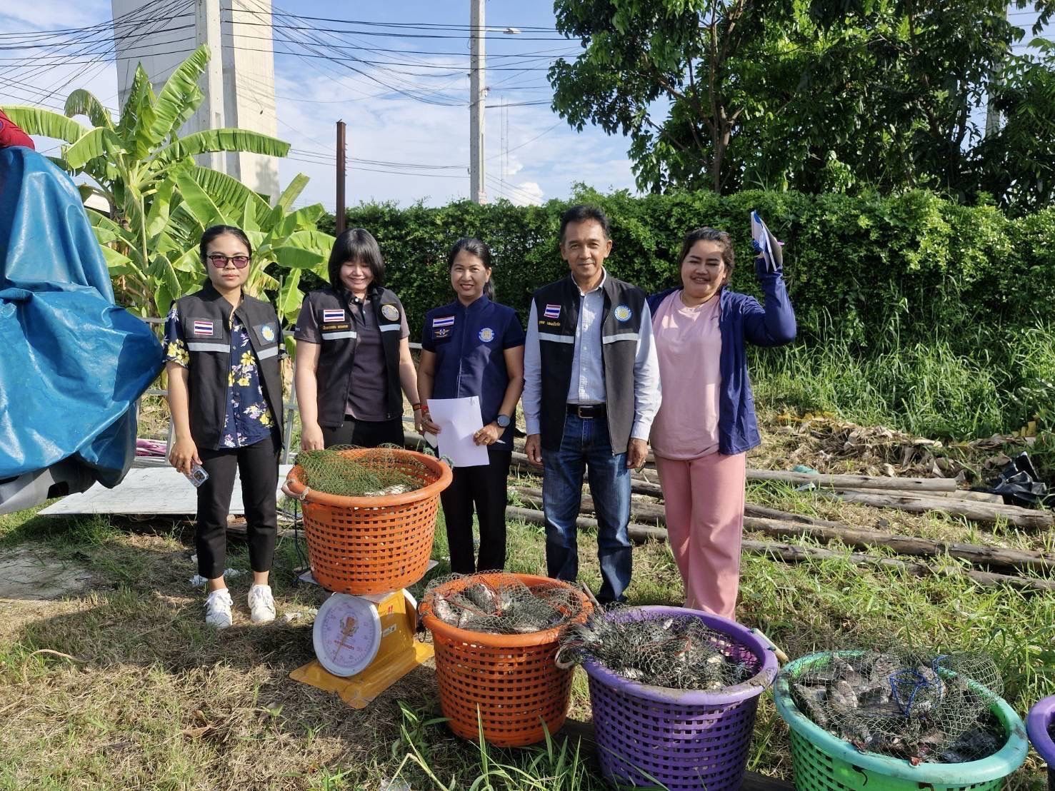 กรมประมง เปิดผลสำเร็จ รับซื้อปลาหมอคางดำ 13- 23 พ.ค. 68 รวมจำนวน 689,596 กก. 2 436180