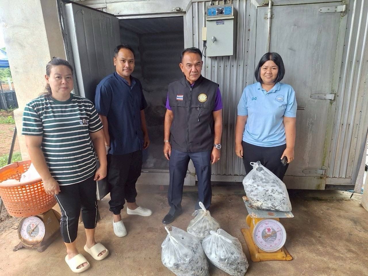 กรมประมง เปิดผลสำเร็จ รับซื้อปลาหมอคางดำ 13- 23 พ.ค. 68 รวมจำนวน 689,596 กก. 4 436182