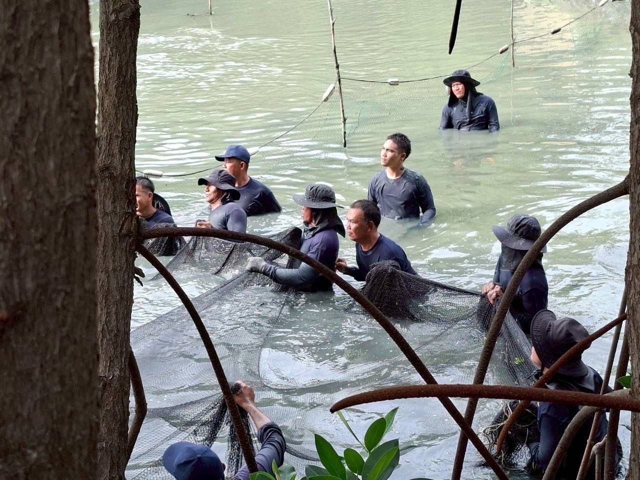 กรมประมง เปิดผลสำเร็จ รับซื้อปลาหมอคางดำ 13- 23 พ.ค. 68 รวมจำนวน 689,596 กก. 7 436185