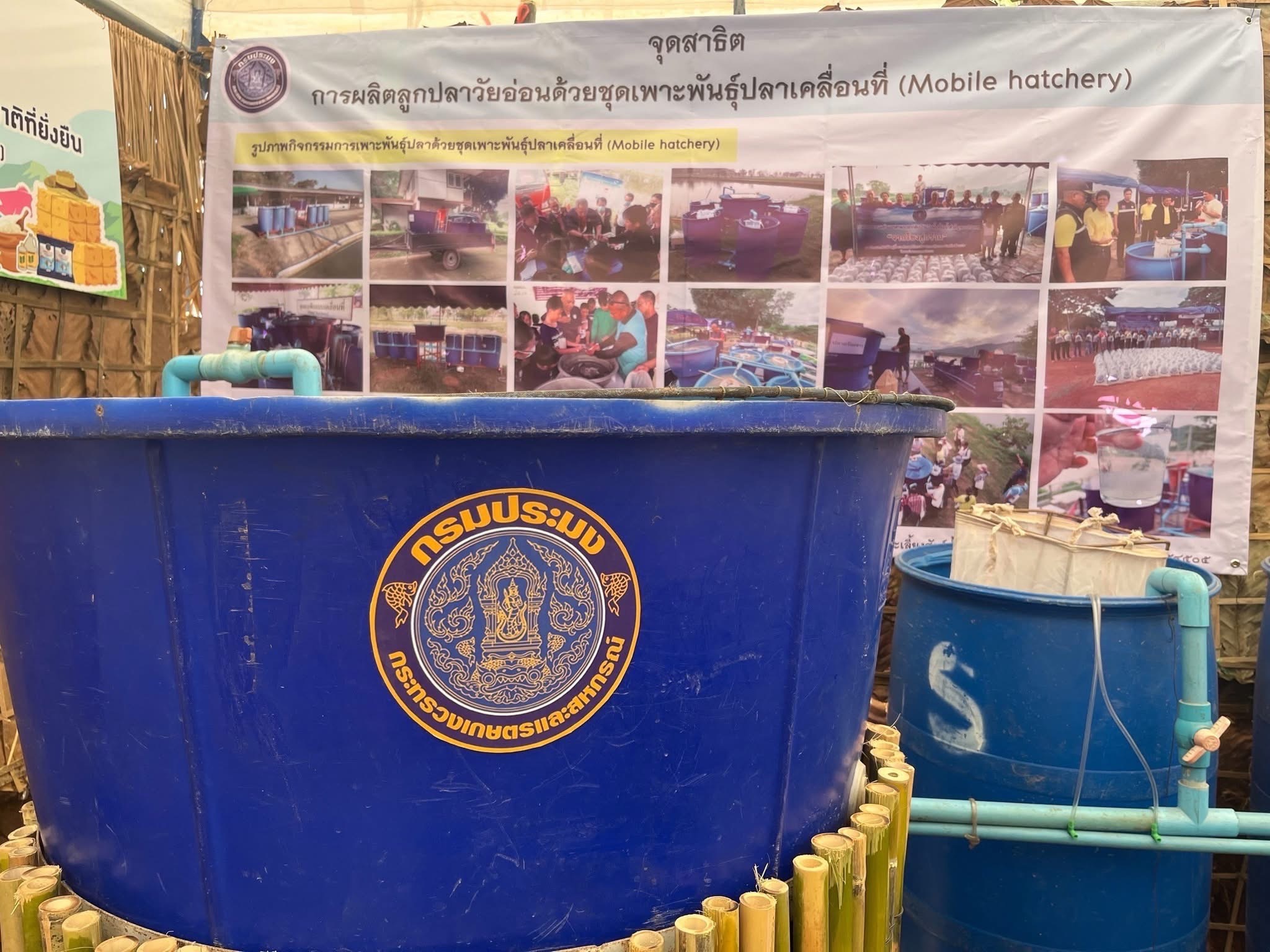 กรมประมง เล็งสร้างต้นแบบศูนย์ผลิตสัตว์น้ำชุมชน ภายใต้ “พะเยาโมเดล”จัดคอร์สถ่ายทอดเทคโนโลยีการเพาะพันธุ์ปลาเคลื่อนที่เพื่อปล่อยเลี้ยงในนาข้าวสรรพสีหนุนส่งเสริมวิถีการทำเกษตรแบบผสมผสาน สร้างแหล่งอาหารที่ยั่งยืน 8 442898