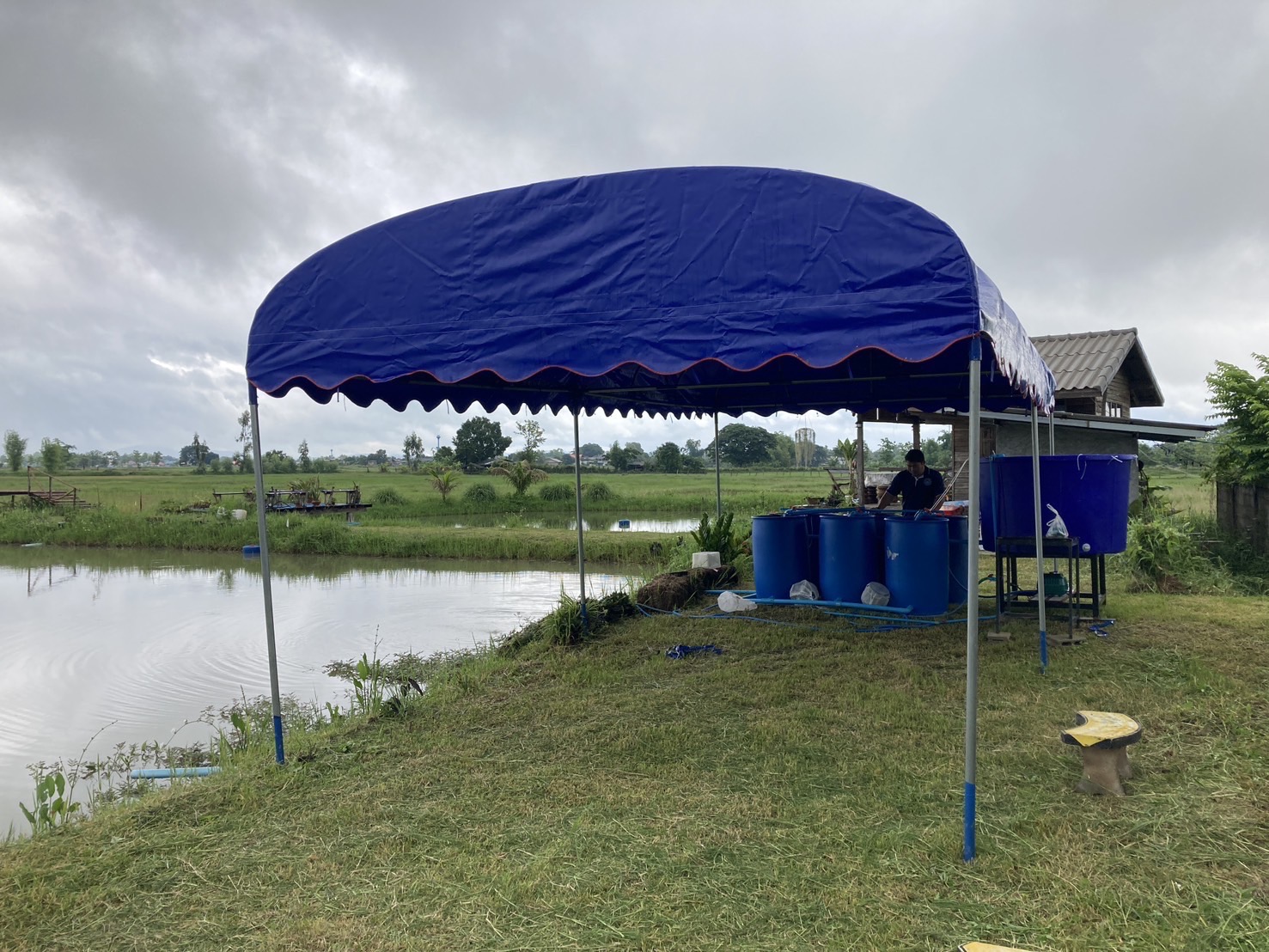 กรมประมง เล็งสร้างต้นแบบศูนย์ผลิตสัตว์น้ำชุมชน ภายใต้ “พะเยาโมเดล”จัดคอร์สถ่ายทอดเทคโนโลยีการเพาะพันธุ์ปลาเคลื่อนที่เพื่อปล่อยเลี้ยงในนาข้าวสรรพสีหนุนส่งเสริมวิถีการทำเกษตรแบบผสมผสาน สร้างแหล่งอาหารที่ยั่งยืน 7 442899