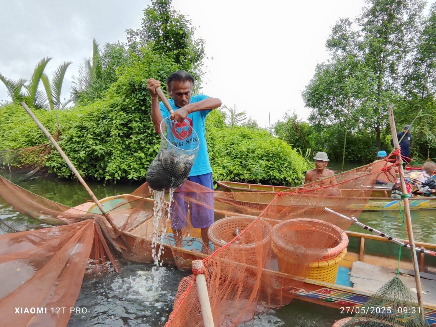 รับซื้อจริง-กำจัดจริงปลาหมอคางดำ เปิดผลสำเร็จการรับซื้อปลาหมอคางคำ ระหว่างวันที่8- 30 พ.ค. 2568 รวมทั้งสิ้น 1,116,016 กิโลกรัม 4 448219