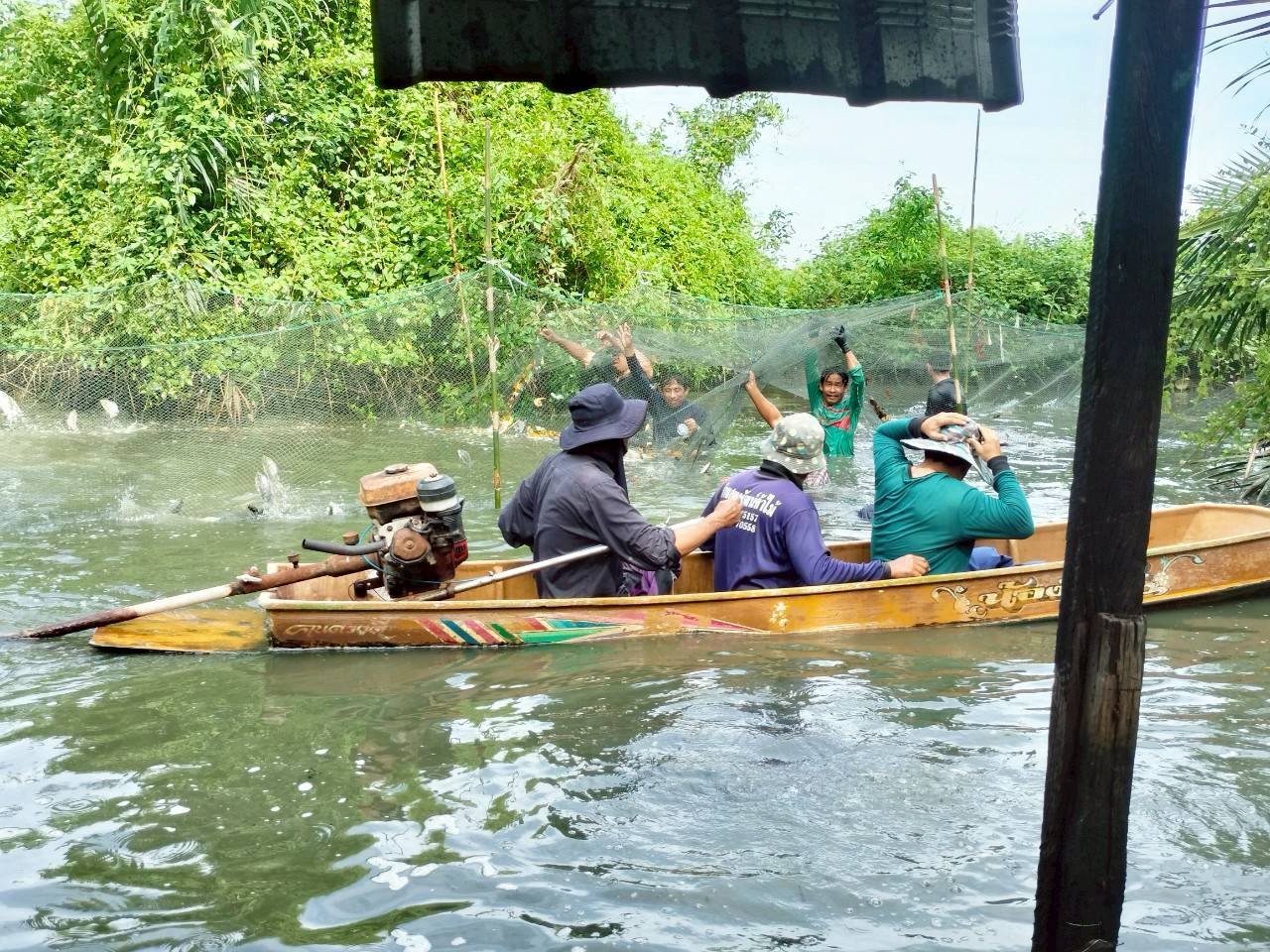 รับซื้อจริง-กำจัดจริงปลาหมอคางดำ เปิดผลสำเร็จการรับซื้อปลาหมอคางคำ ระหว่างวันที่8- 30 พ.ค. 2568 รวมทั้งสิ้น 1,116,016 กิโลกรัม 5 448220