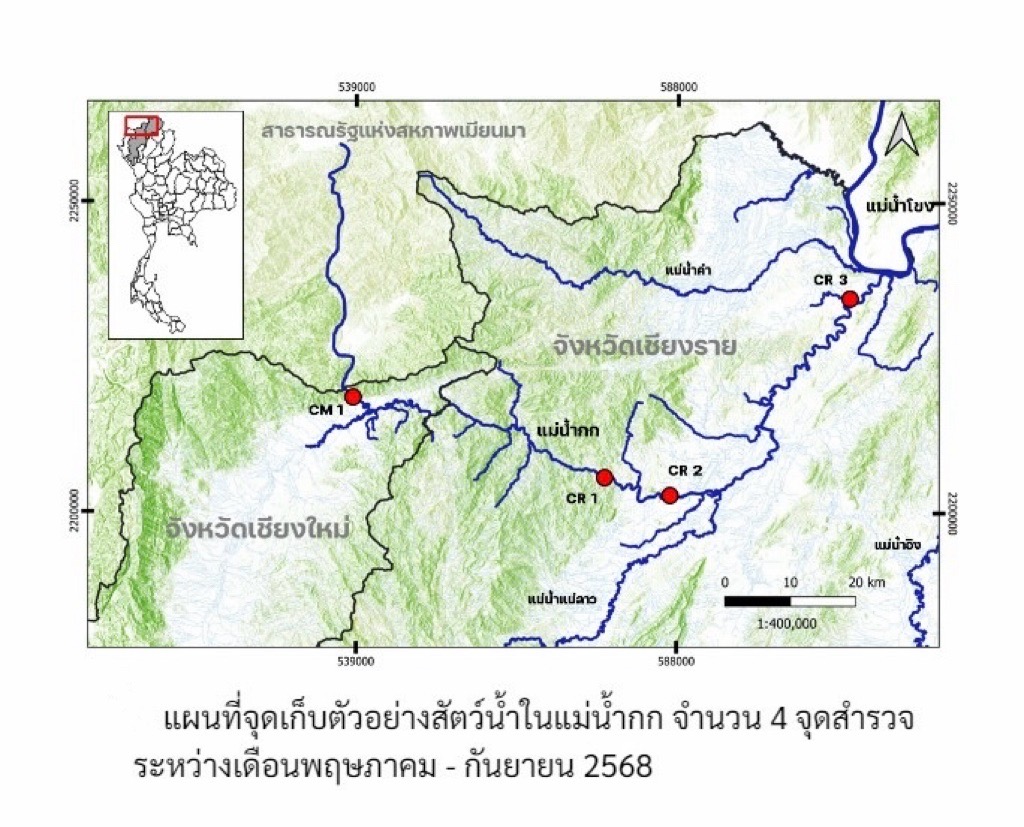 กรมประมงเข้ม ตรวจติดตามเฝ้าระวังสารปนเปื้อนสัตว์น้ำในแม่น้ำสาย - แม่น้ำกก ลุยเก็บตัวอย่างตรวจโลหะหนักต่อเนื่อง เพื่อสร้างความมั่นใจให้ประชาชน 7 448427