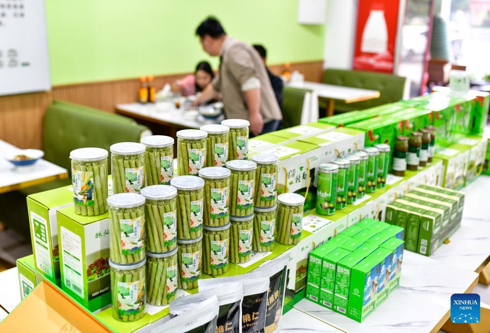 ลัดเลาะศูนย์กลางอุตสาหกรรม 'มัทฉะ' ระดับโลกในกุ้ยโจว 6 499239007 1143590067810035 5173239816194007420 n