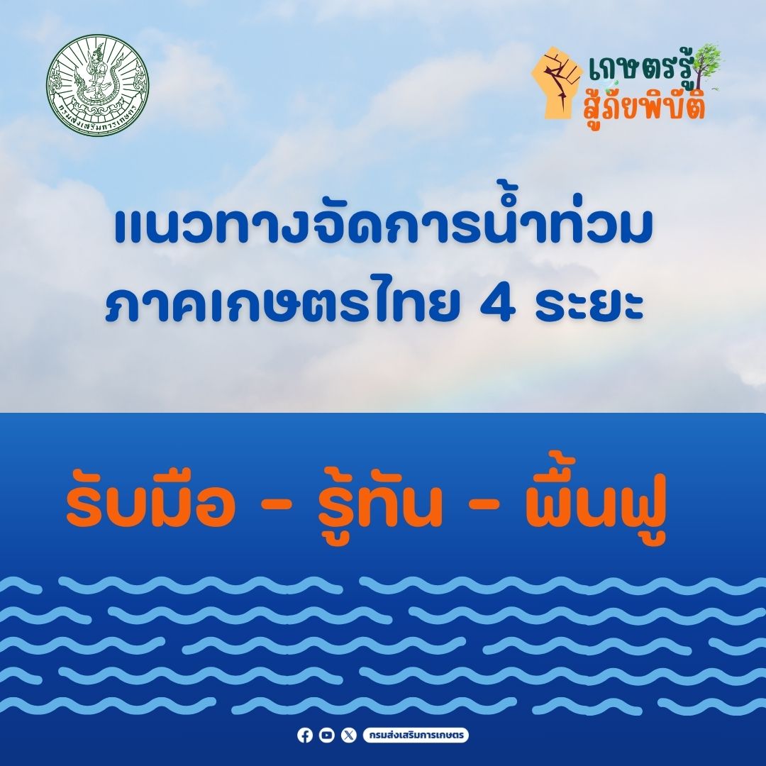 เกษตรฯ เผยแนวทางจัดการน้ำท่วมภาคเกษตรไทย 4 ระยะ 7 500076776