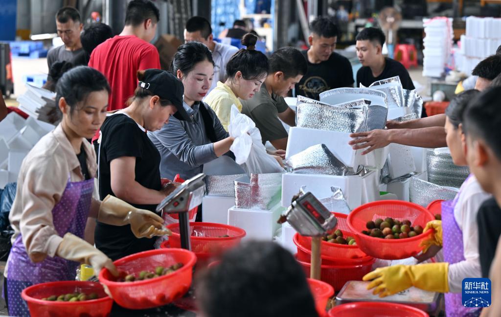 'ลิ้นจี่ไหหลำ' เจาะตลาดต่างชาติ ส่งออกทะลุ 50 ล้านหยวนแล้ว 5 500766763 1146466737522368 4769550164540350577 n 1