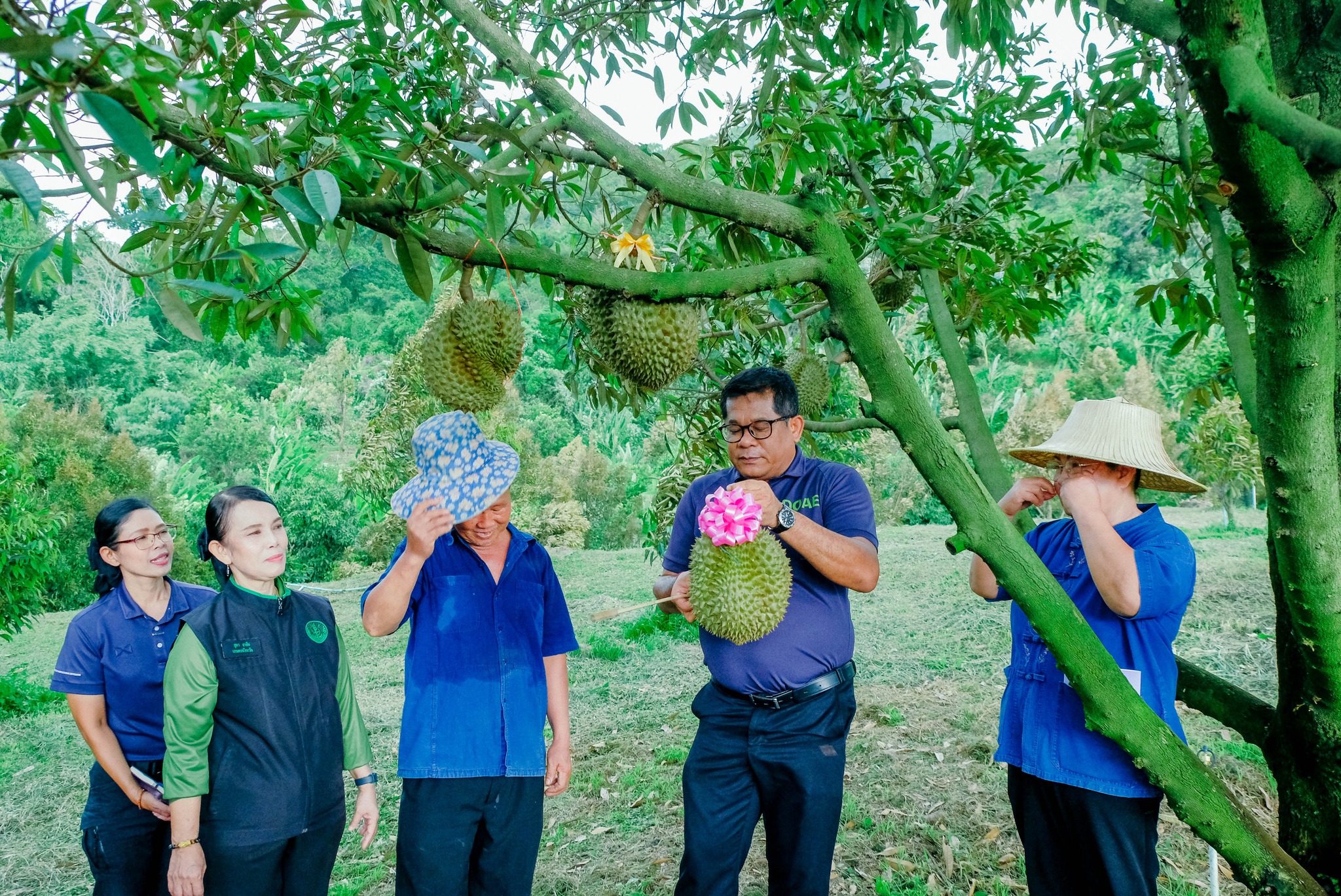 รองอธิบดีกรมส่งเสริมการเกษตร ลงพื้นที่สวนทุเรียนเขาพระ ดินแดนประวัติศาสตร์ยุคสงครามโลกครั้งที่ 2 6 501785760 1074555231447108 6963814470191286207 n