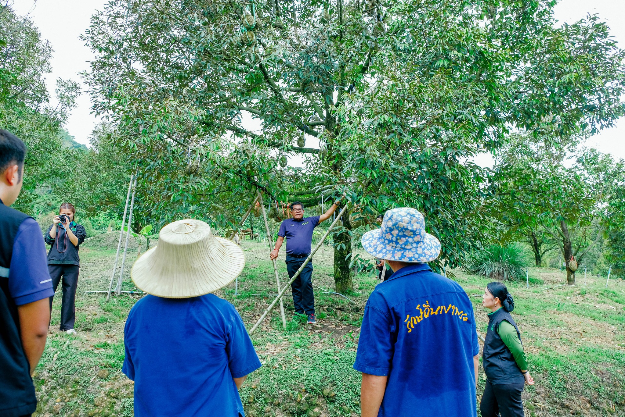 รองอธิบดีกรมส่งเสริมการเกษตร ลงพื้นที่สวนทุเรียนเขาพระ ดินแดนประวัติศาสตร์ยุคสงครามโลกครั้งที่ 2 4 502695111 1074554094780555 4278342375338823371 n