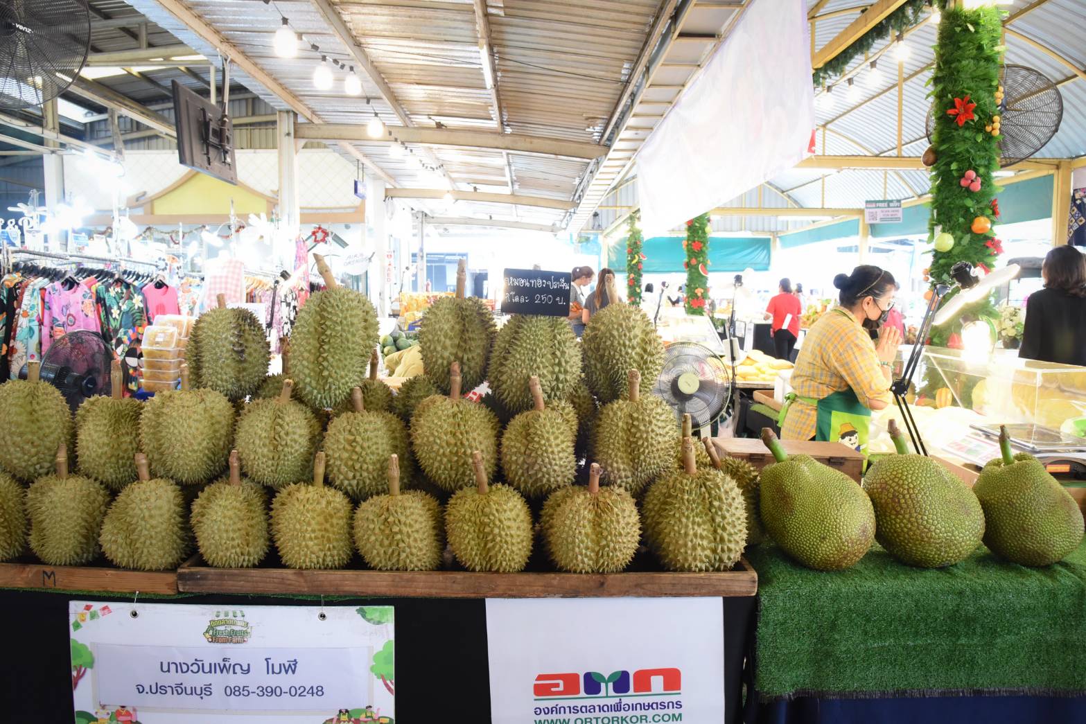 อ.ต.ก. จัดงาน “มหานครผลไม้ไทยภาคตะวันออก” เพื่อเพิ่มช่องทางตลาด กระจายผลผลิตทั้งช่องทางOffline และช่องทาง E-commerce 10 83968