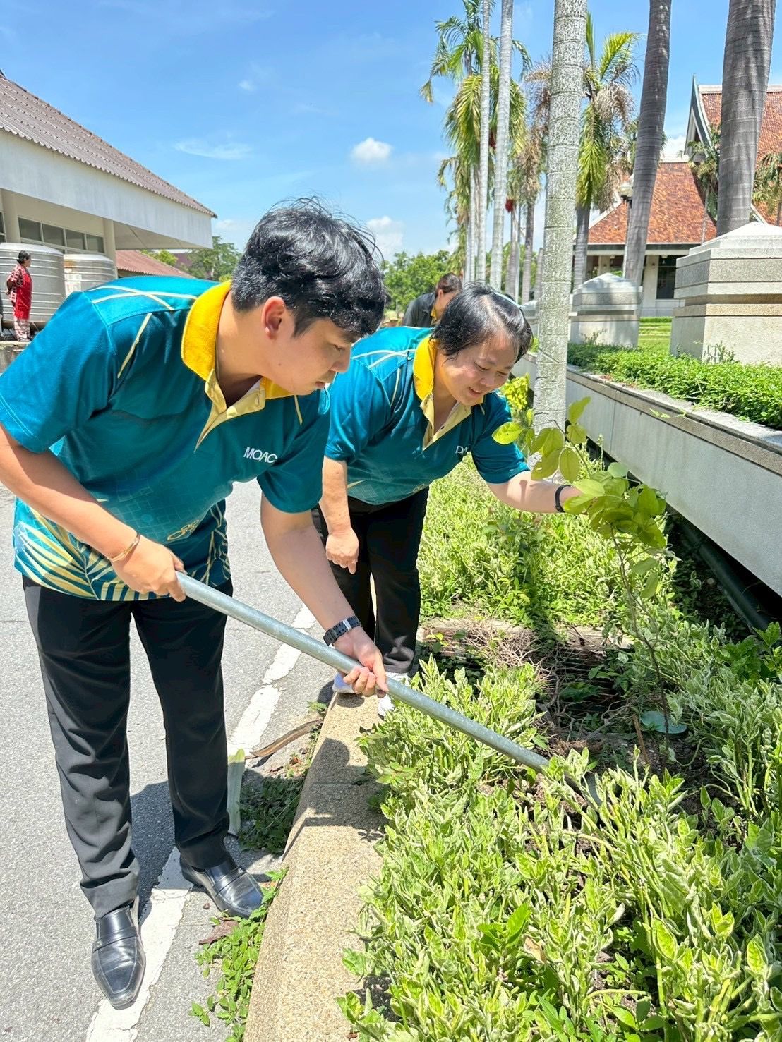 เกษตรร่วมปลูกต้นไม้ เนื่องใน 986790