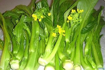Brassica rapa 1