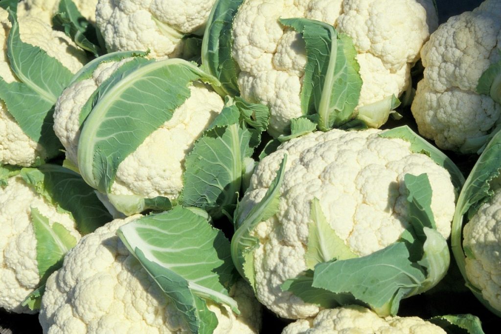 Cauliflower 1 1024x683 1