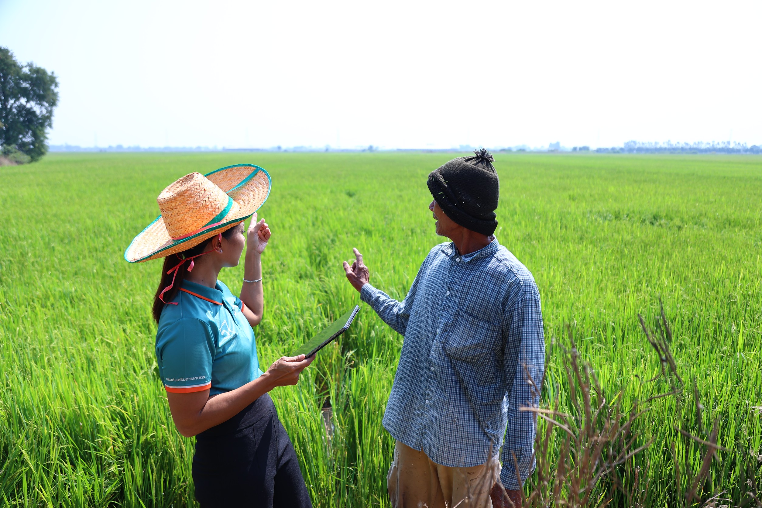 เชิญชวนเกษตรกรแจ้งขึ้นทะเบียนและปรับปรุงทะเบียนเกษตรกร ปีการผลิต 2568/69ข้อมูลชัด รัฐช่วยตรงจุดเริ่มต้นอยู่ที่การขึ้นทะเบียนเกษตรกร 5 S 1007689737