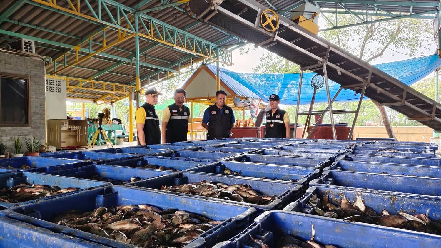 เปิดรับซื้อวันแรก สมุทรสาครแรงเกินคาด ยอดจับ S 13279262