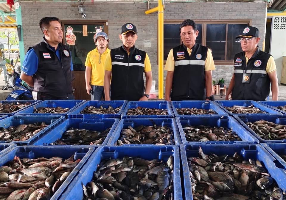 เปิดรับซื้อวันแรก สมุทรสาครแรงเกินคาด ยอดจับ S 13279263