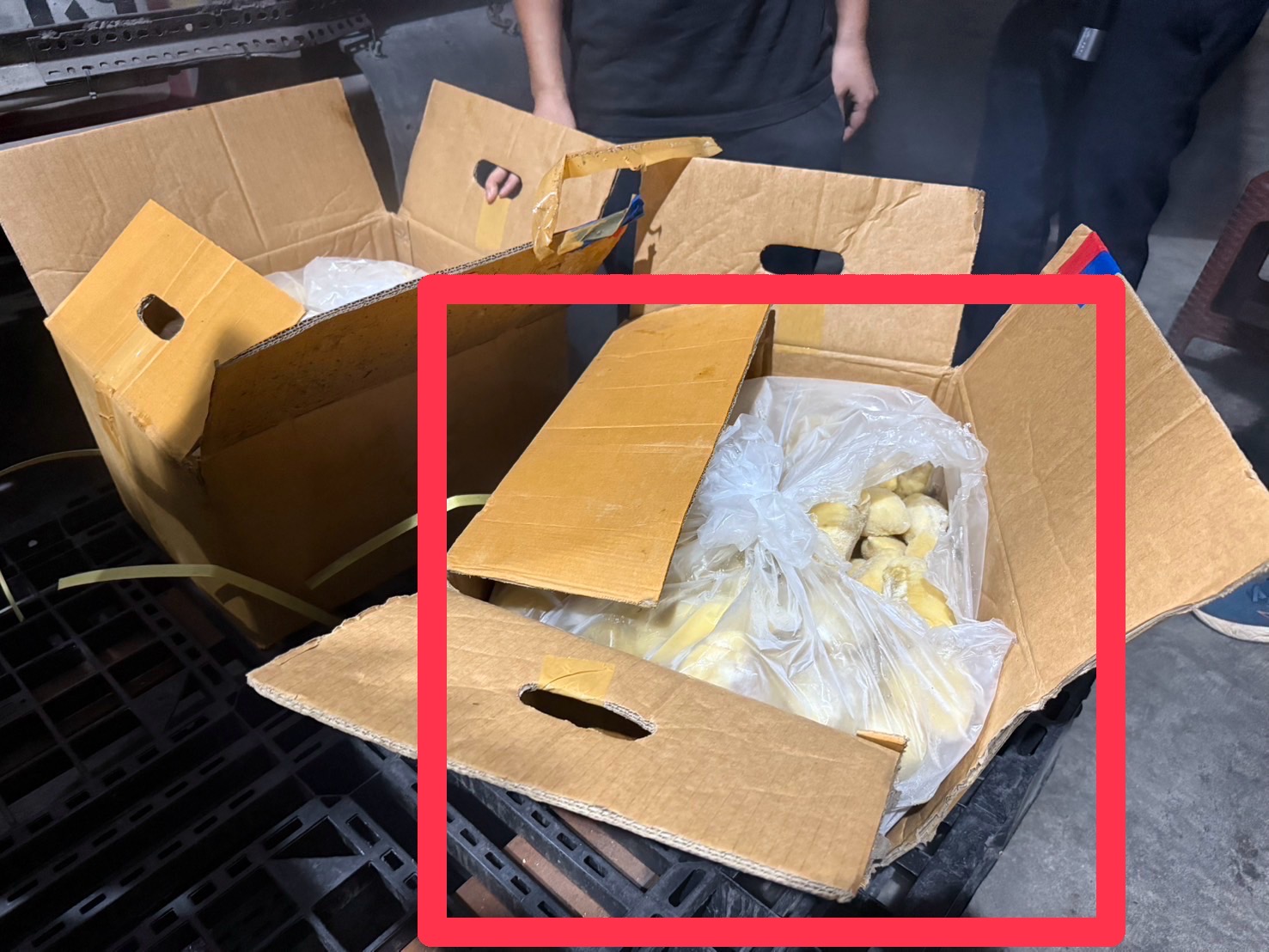 ด่วน “ฉก.พญานาคราช” พร้อมหน่วยงานที่เกี่ยวข้องร่วมลงพื้นที่สุ่มตรวจทุเรียนแช่เยือกแข็งในพื้นที่จังหวัดระยองอย่างเข้มข้น 3 S 13705245