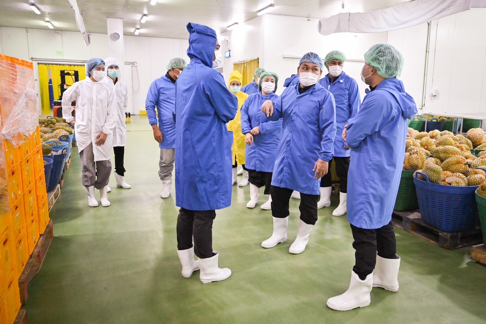 ธนดล นำทีม ฉก.พญานาคราช ลุยตรวจทุเรียนแช่เยือกแข็ง ในพื้นที่จังหวัดปทุมธานีอย่างต่อเนื่อง 4 S 17539118