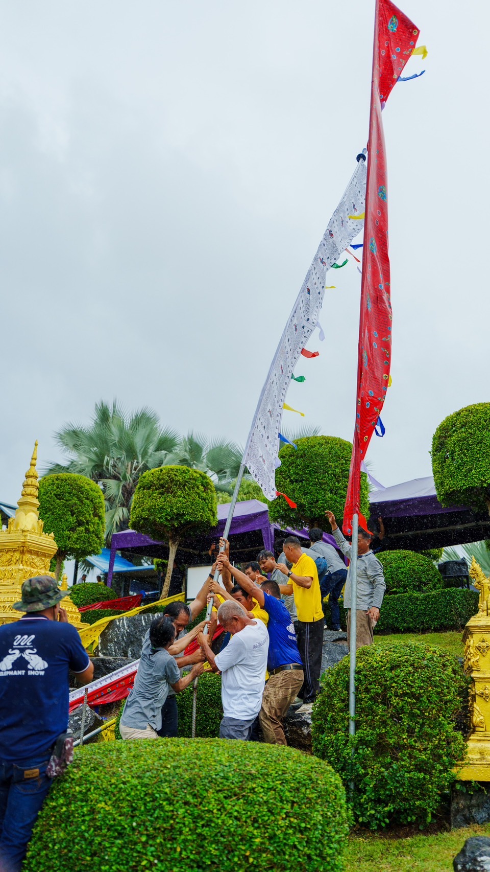 สวนนงนุชพัทยา ร่วมเฉลิมฉลองสายสัมพันธ์ไทย–ภูฏาน ด้วยธงมนตรารูปแบบใหม่ 7 S 4416776