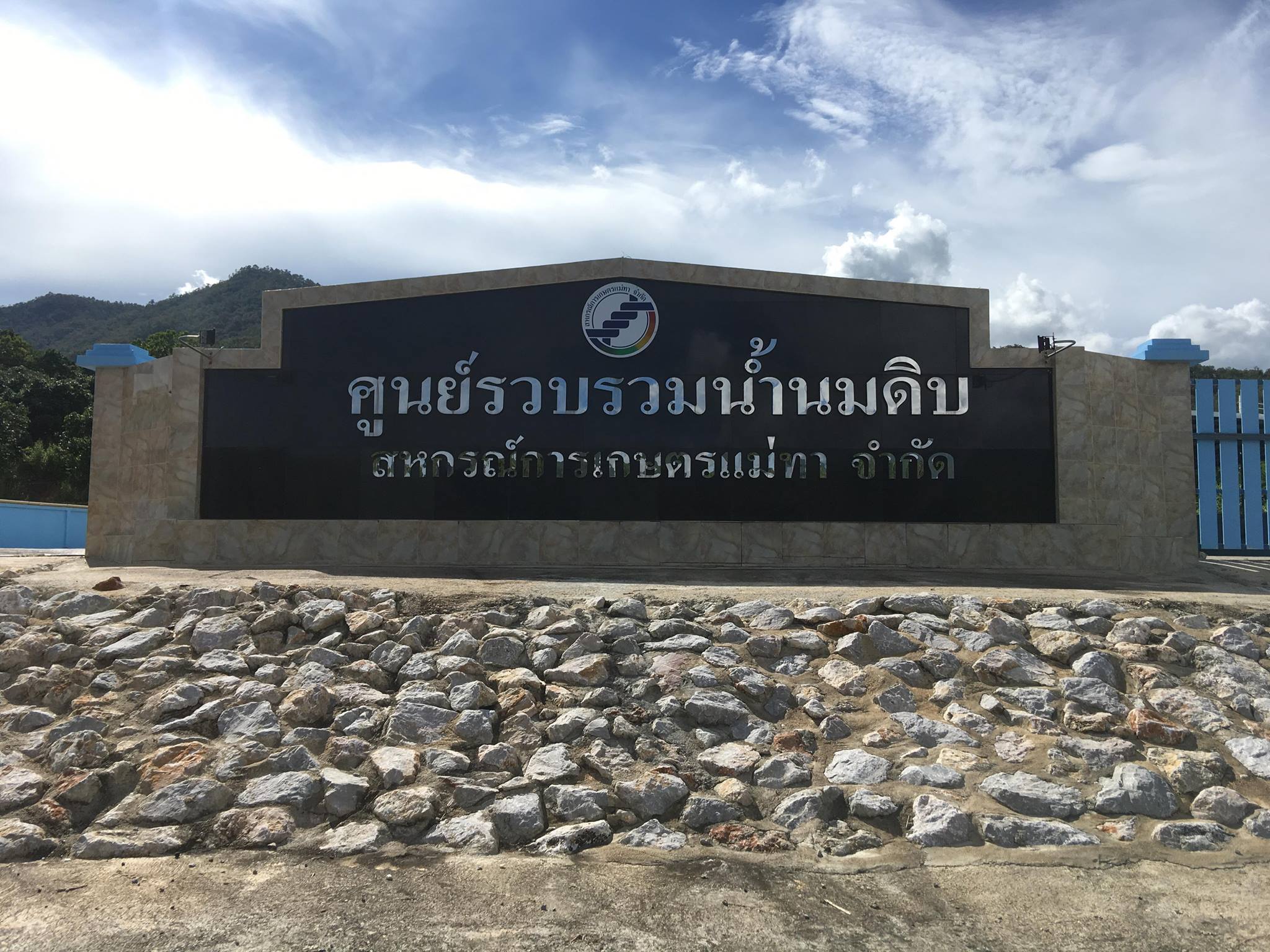 S 85082261