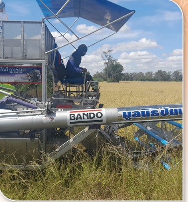 สถาบันเกษตรกรดีเด่นแห่งชาติ ประจำปี 2568 ศูนย์ส่งเสริมและผลิตพันธุ์ข้าวชุมชน ประเภทข้าวหอมมะลิ Sc 4