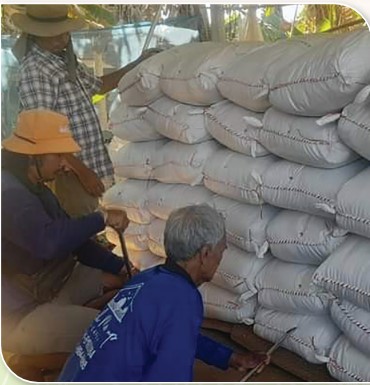 สถาบันเกษตรกรดีเด่นแห่งชาติ ประจำปี 2568 ศูนย์ส่งเสริมและผลิตพันธุ์ข้าวชุมชน ประเภทข้าวหอมมะลิ Scre 3