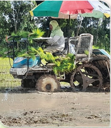 สถาบันเกษตรกรดีเด่นแห่งชาติ ประจำปี 2568 ศูนย์ส่งเสริมและผลิตพันธุ์ข้าวชุมชน ประเภทข้าวหอมมะลิ Scree 3