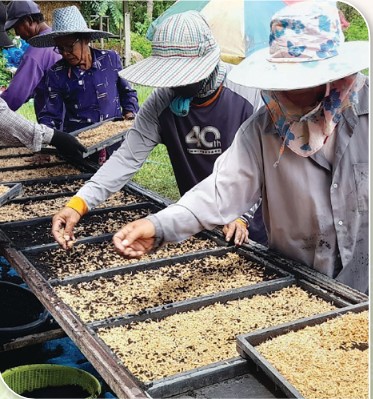 สถาบันเกษตรกรดีเด่นแห่งชาติ ประจำปี 2568 ศูนย์ส่งเสริมและผลิตพันธุ์ข้าวชุมชน ประเภทข้าวหอมมะลิ Screensh