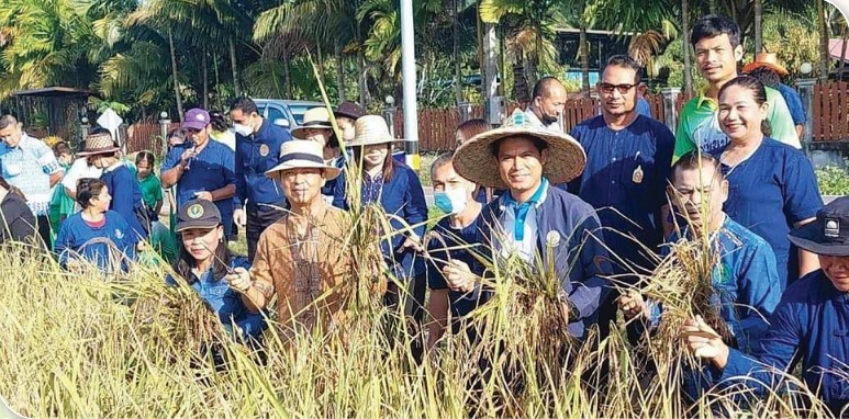 สถาบันเกษตรกรดีเด่นแห่งชาติ ประจำปี 2568 สถาบันเกษตรกรผู้ใช้น้ำชลประทาน Screensho 2