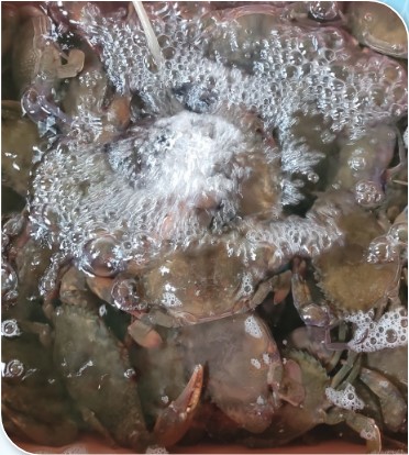 เกษตรกรดีเด่นแห่งชาติ ประจำปี 2568 Screenshot 2