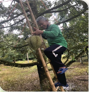 สถาบันเกษตรกรดีเด่นแห่งชาติ ประจำปี 2568 สถาบันเกษตรกรผู้ใช้น้ำชลประทาน Screenshot 2025 4