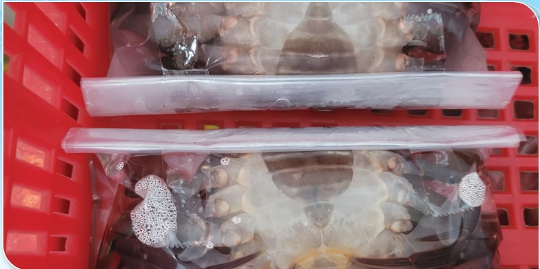 เกษตรกรดีเด่นแห่งชาติ ประจำปี 2568 Screenshot 25