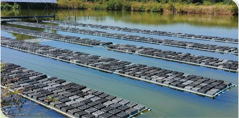 เกษตรกรดีเด่นแห่งชาติ ประจำปี 2568 Screenshot 27 1