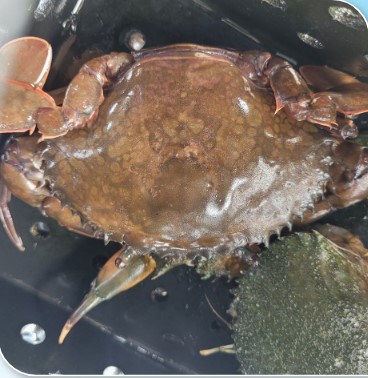 เกษตรกรดีเด่นแห่งชาติ ประจำปี 2568 Screenshot 28