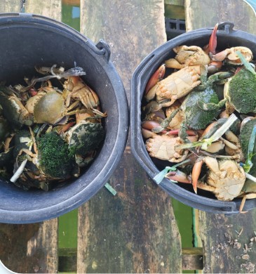 เกษตรกรดีเด่นแห่งชาติ ประจำปี 2568 Screenshot 33