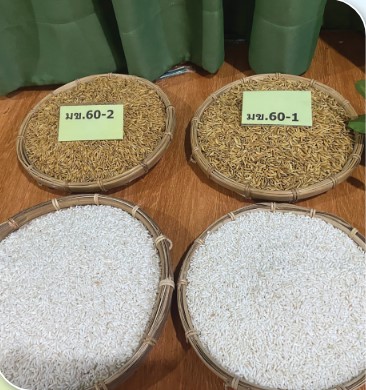 เกษตรกรดีเด่นแห่งชาติ gd