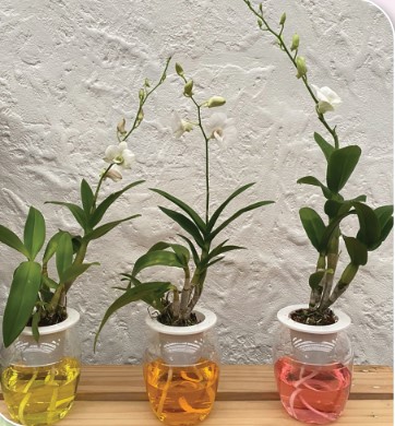 ปราชญ์เกษตรดีเด่น ประจำปี2568 lll