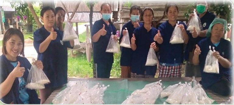 เกษตรกรดีเด่นแห่งชาติ lllส