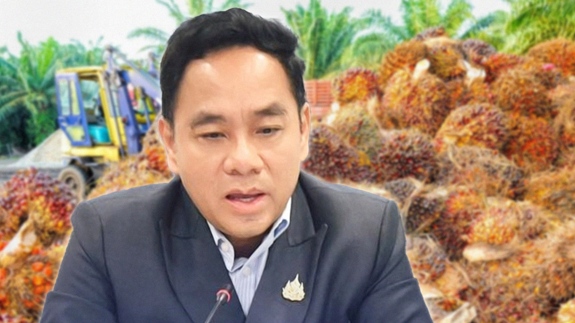 กรมการค้าภายใน2 1